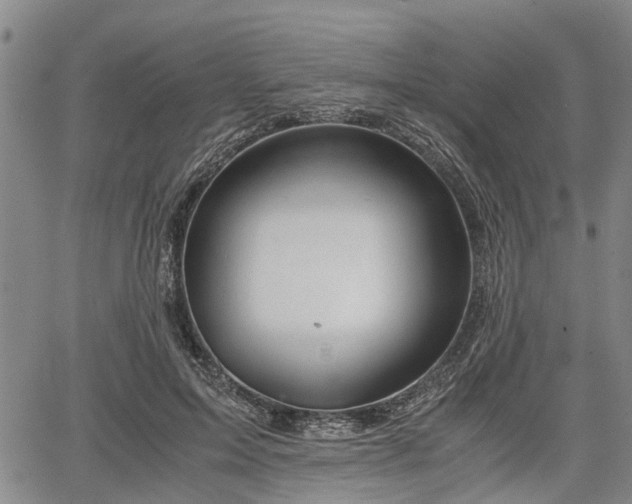 X0000067520599200604101328