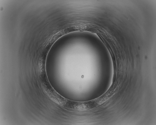 X0000067520600200604101328