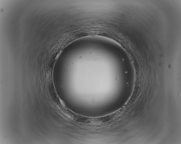 X0000067520601200604101328