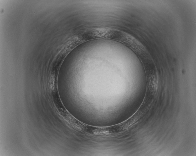 X0000067520602200604101328