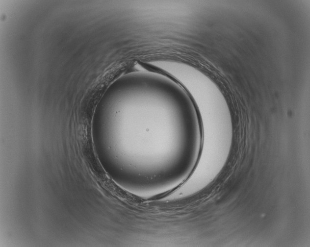 X0000067520603200604101328