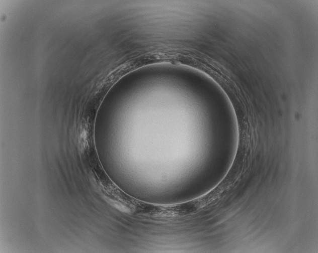 X0000067520604200604101328