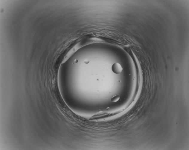 X0000067520607200604101328