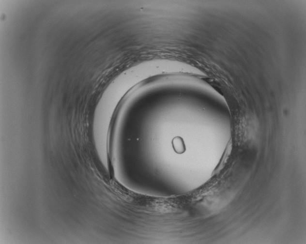 X0000067520608200604101328