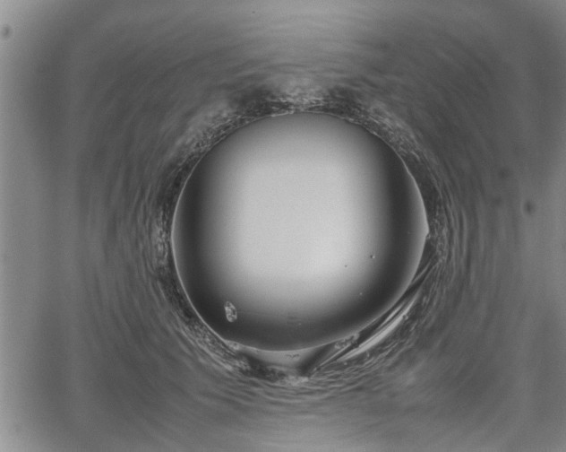 X0000067520609200604101328