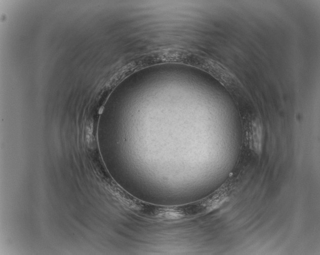 X0000067520610200604101328