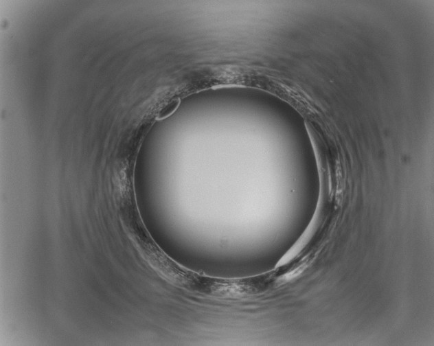 X0000067520611200604101328