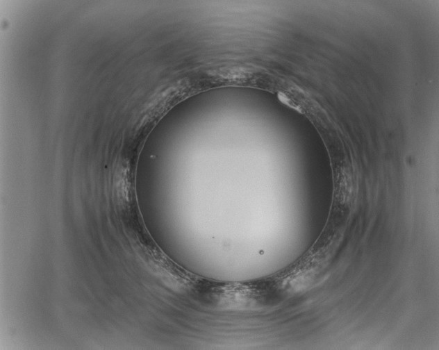 X0000067520612200604101328