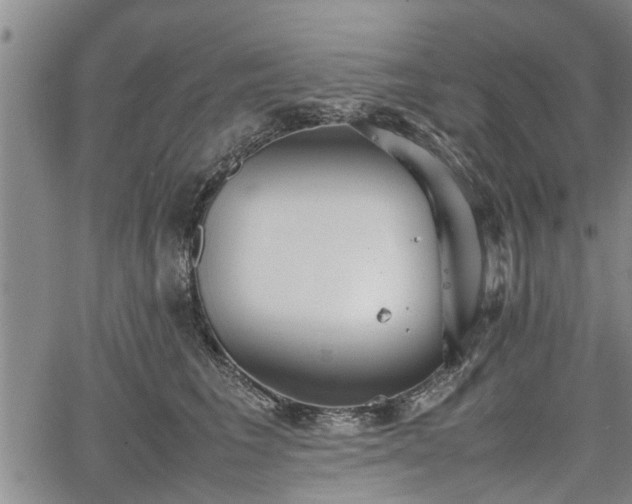 X0000067520613200604101328