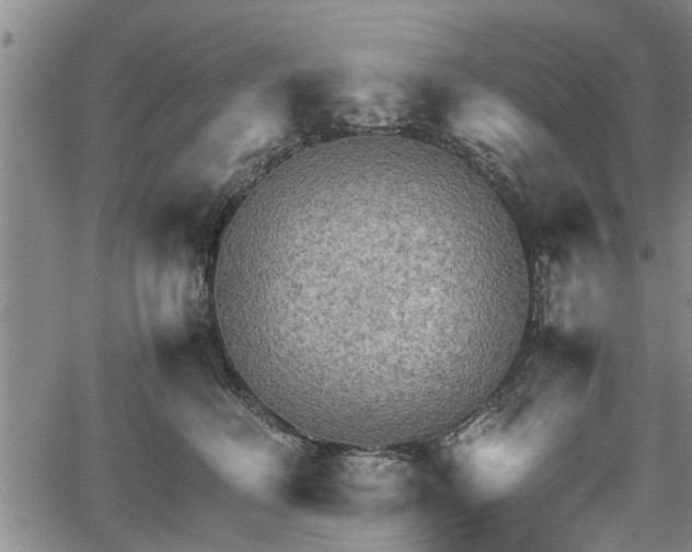 X0000067520614200604101328