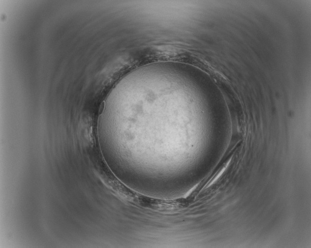 X0000067520615200604101328