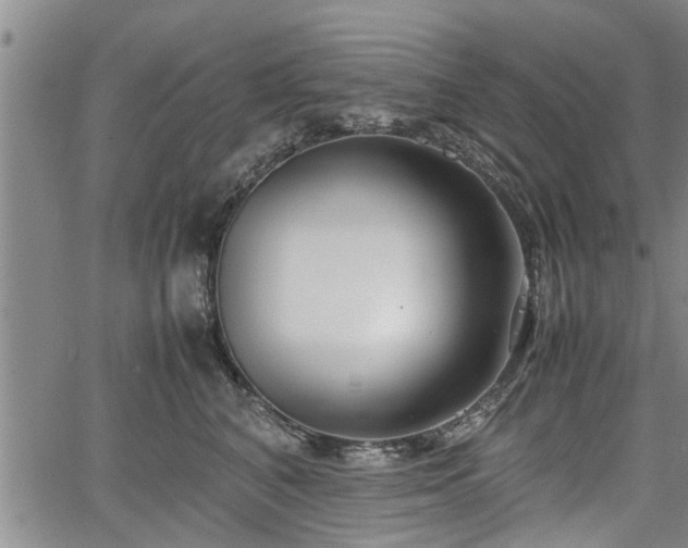 X0000067520616200604101328