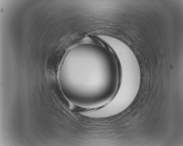 X0000067520617200604101328