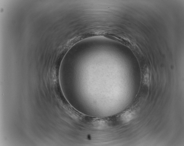 X0000067520620200604101328