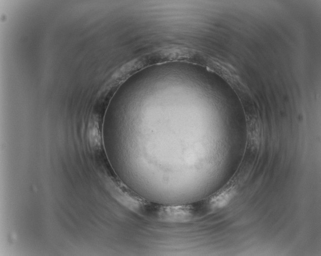 X0000067520622200604101328