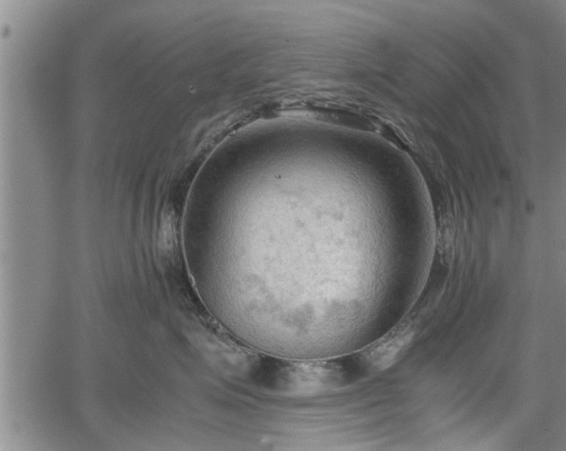 X0000067520623200604101328