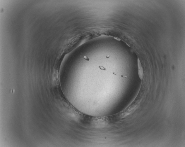 X0000067520624200604101328