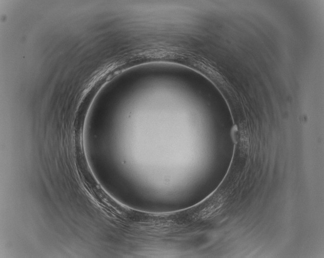 X0000067520626200604101327