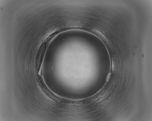 X0000067520627200604101327