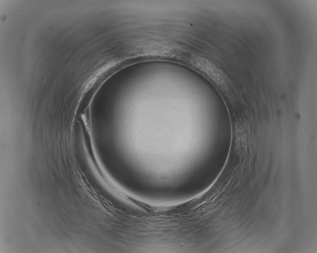 X0000067520628200604101327