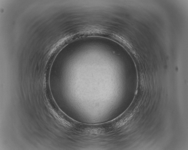 X0000067520629200604101327