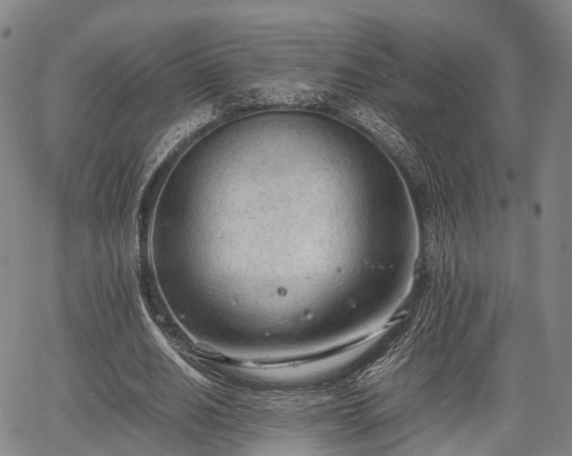 X0000067520630200604101327