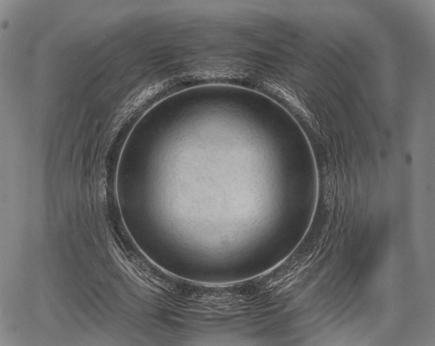 X0000067520631200604101327