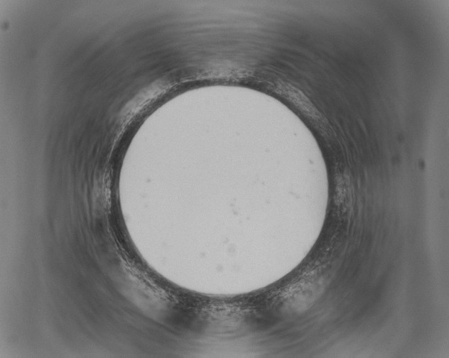 X0000067520632200604101327