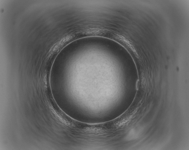 X0000067520633200604101327