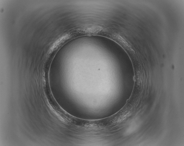 X0000067520634200604101327