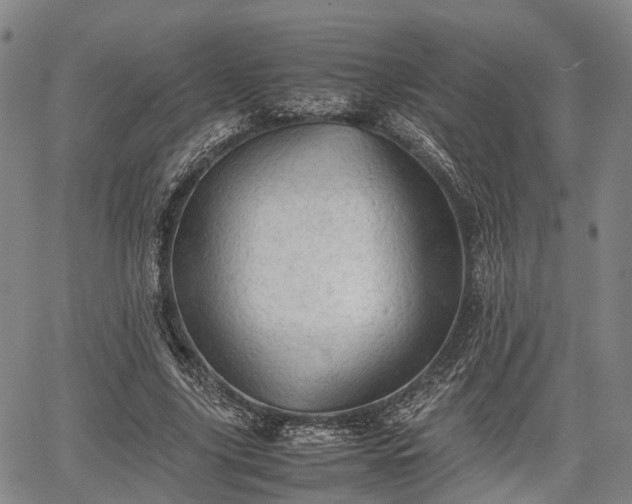 X0000067520635200604101327