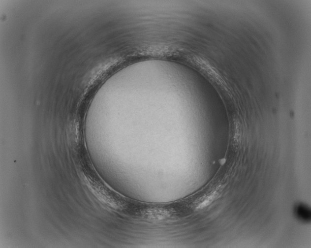 X0000067520636200604101327