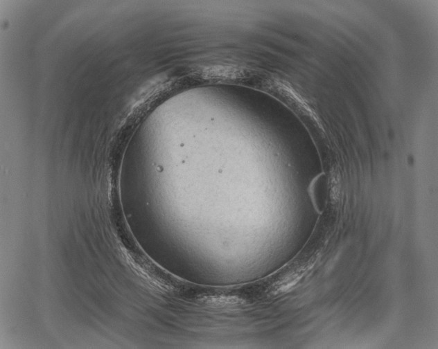 X0000067520637200604101327