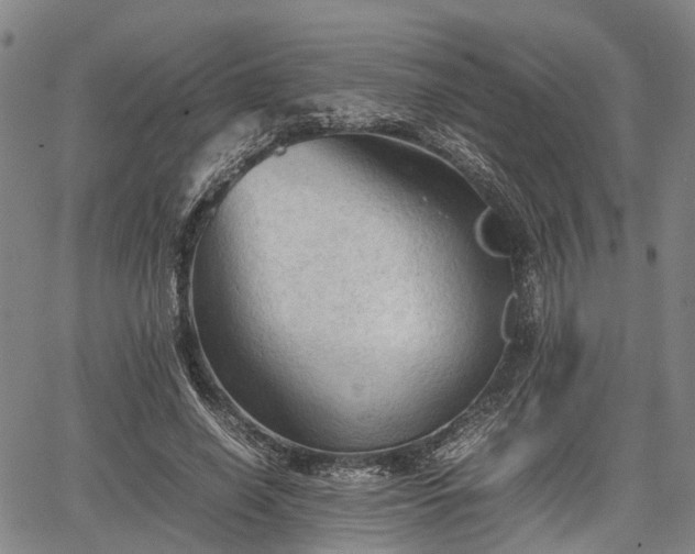 X0000067520638200604101327