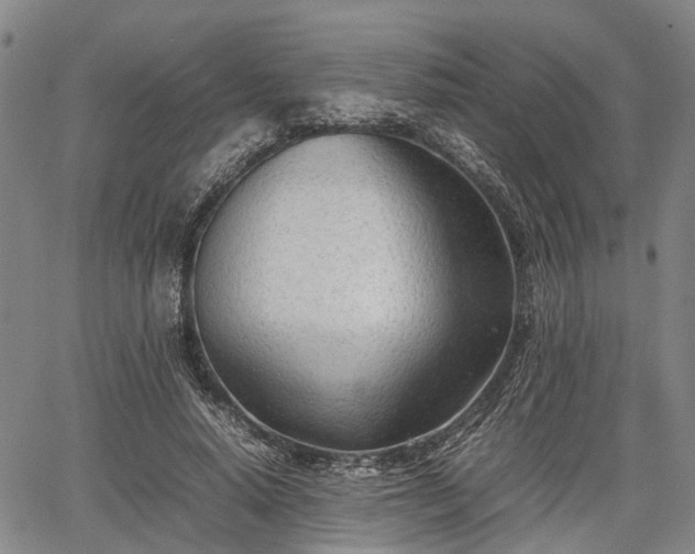 X0000067520640200604101327