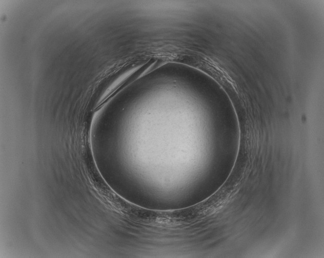 X0000067520641200604101327