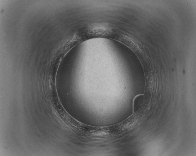 X0000067520643200604101327