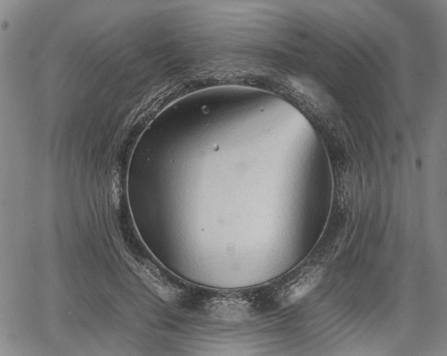 X0000067520644200604101327