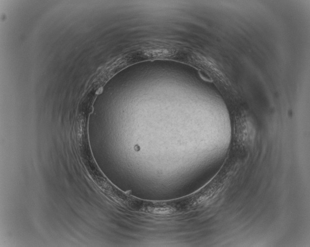 X0000067520645200604101327