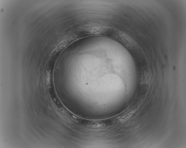 X0000067520646200604101327