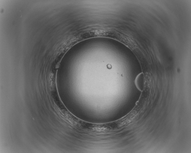 X0000067520650200604101328