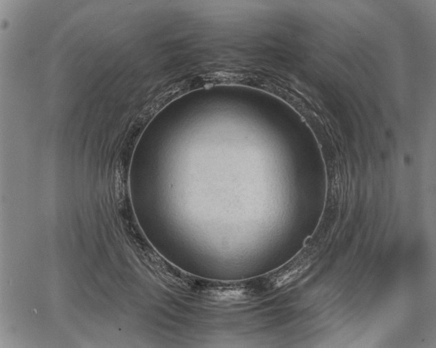 X0000067520651200604101328