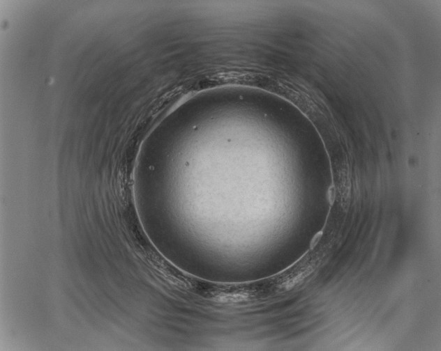 X0000067520653200604101328