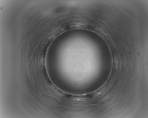 X0000067520657200604101328