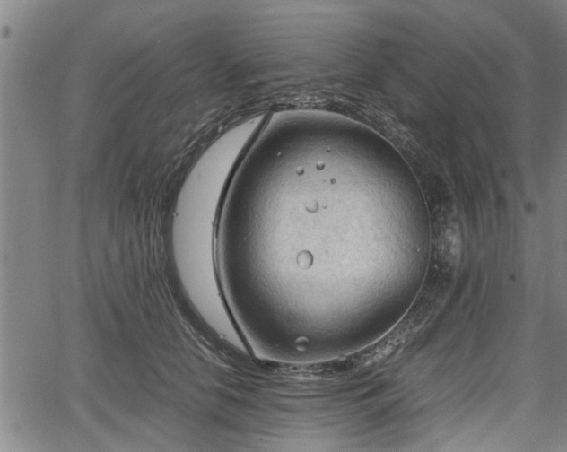 X0000067520658200604101328