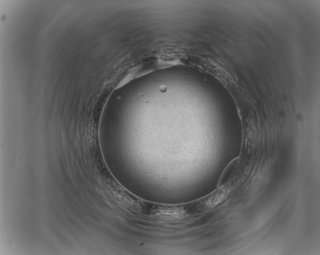 X0000067520659200604101328