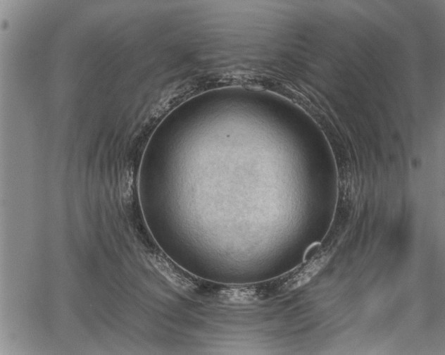 X0000067520660200604101328