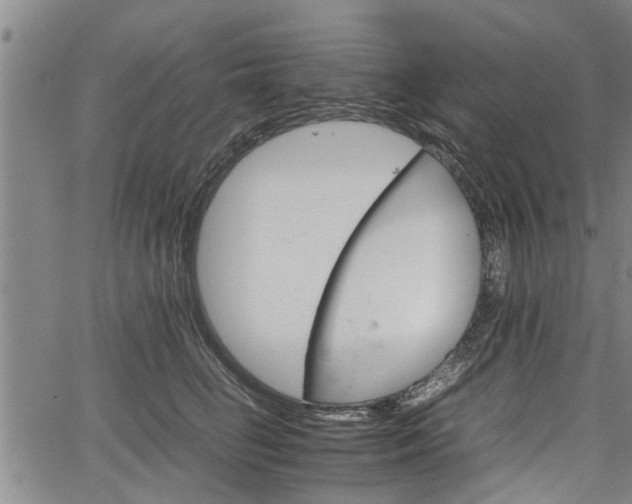 X0000067520662200604101328