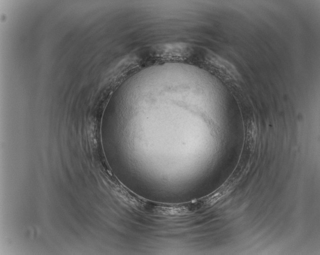 X0000067520663200604101328