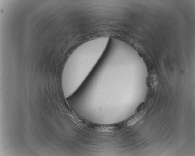 X0000067520664200604101328